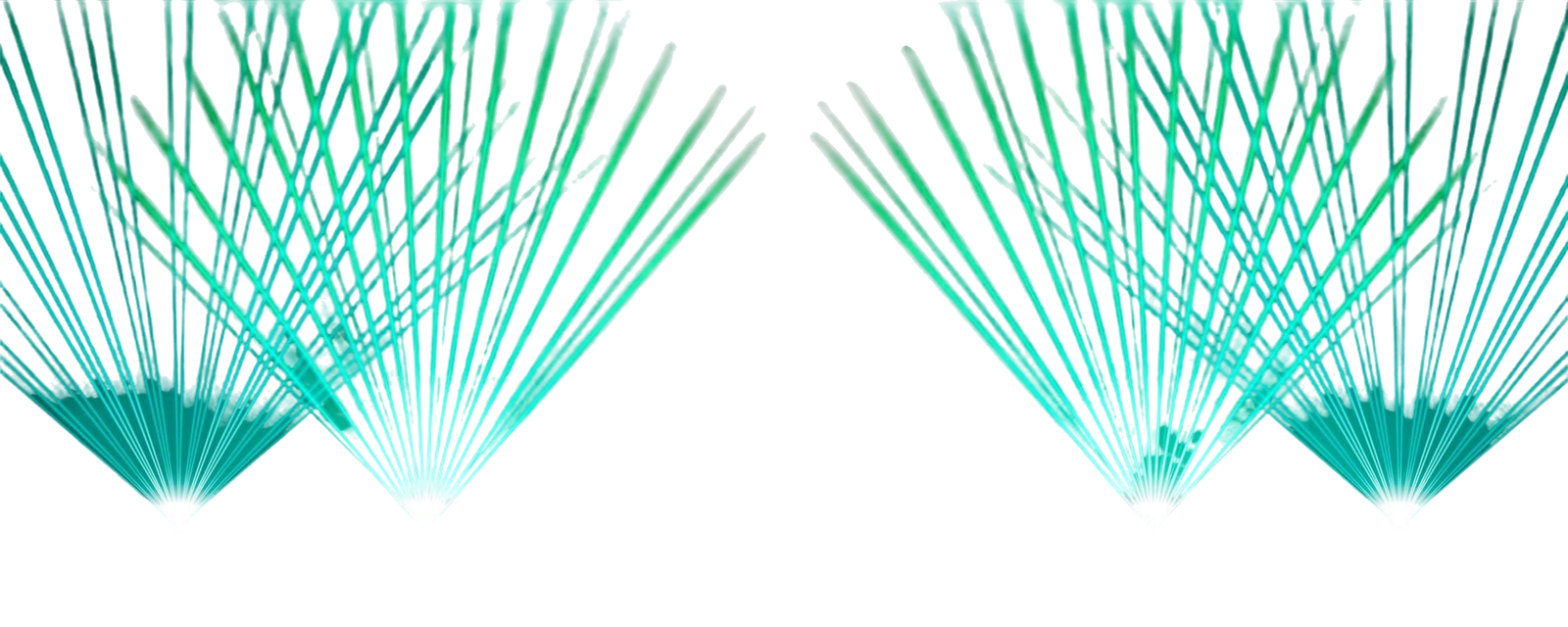 Certified AI Camel Sports Medicine & Rehabilitation Specialist (CAI-SMR)